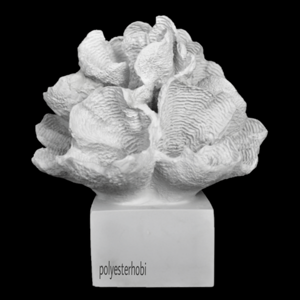 ob-1326-kaideli-mercan-1-ham-polyester-09-994.png