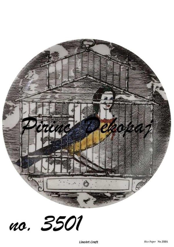pd-3501-pirinc-dekopaj-b-4ce8.jpg