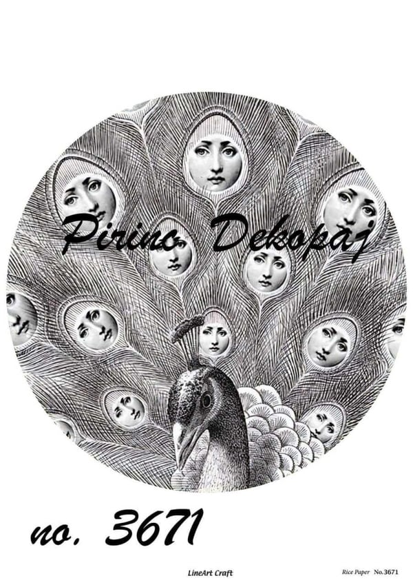 pd-3671-pirinc-dekopaj-c9-7da.jpg