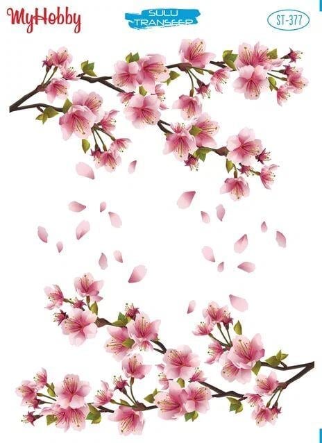 st-377-sulu-transfer-f-b1df.jpg