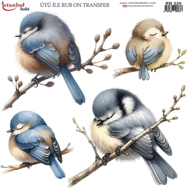 Ütü İle Baskı Transfer Kumaş Ve Ahşap Rubon 30 x 30 cm Kuş Desenli RB 225