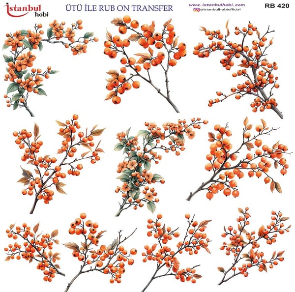 Ütü İle Baskı Transfer Kumaş Ve Ahşap Rubon 30 x 30 cm Çiçek Desenli RB 420