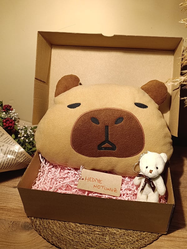 Kutulu Hediye Seti / Capybara Yastık 30cm ve Ayıcık Anahtarlık