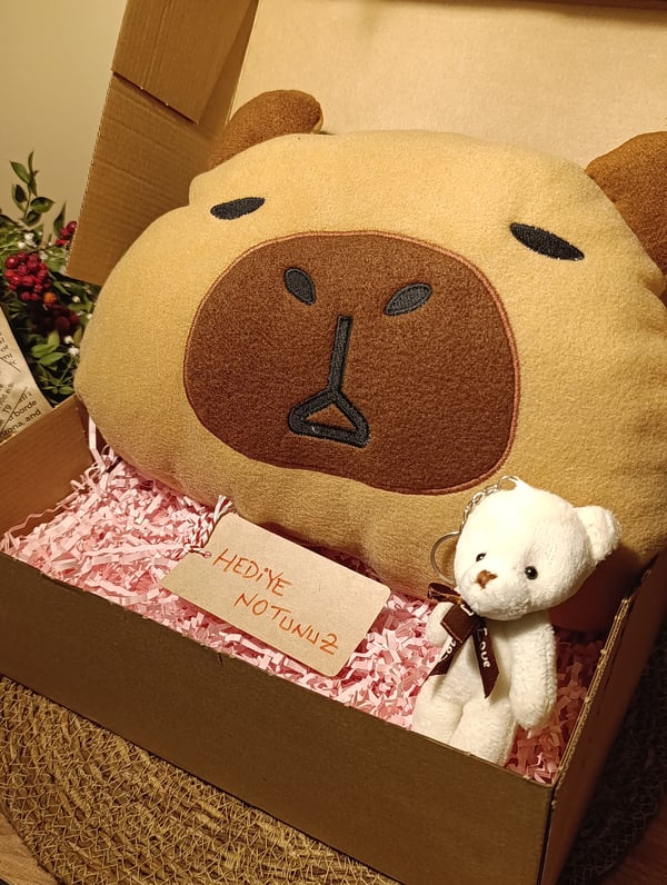Kutulu Hediye Seti / Capybara Yastık 30cm ve Ayıcık Anahtarlık