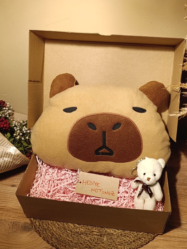 Kutulu Hediye Seti / Capybara Yastık 30cm ve Ayıcık Anahtarlık