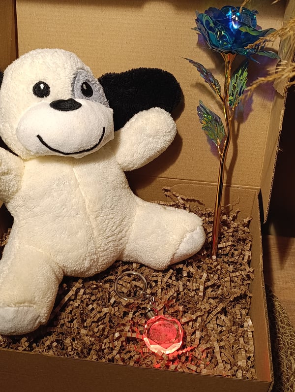 Kutulu Hediye Seti / Peluş Köpek 24cm - Renk Değiştiren Işıklı Anahtarlık - Sonsuzluk Gülü 
