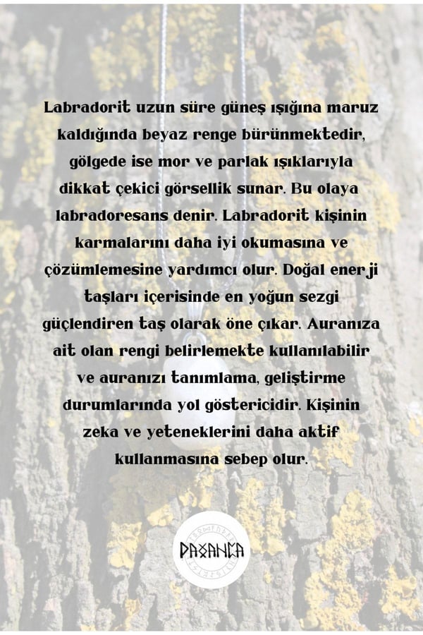 Labradorit Beyaz Işık Spiritüel Enerji Doğal Taş Kolye