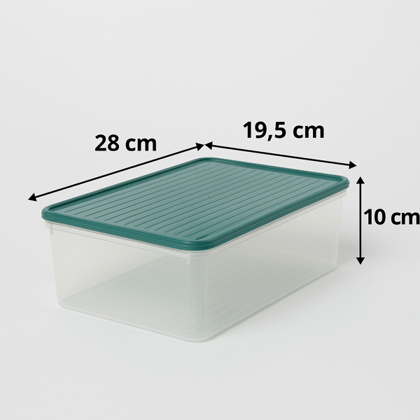 Smart Container 4 Lü Buzdolabı Derin Dondurucu Saklama Kabı Set Mavi