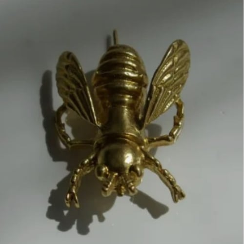 Arı Broş