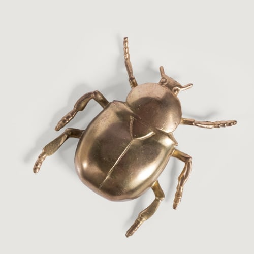 Beetle Dekoratif Obje