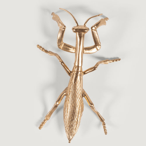 Mantis Dekoratif Obje