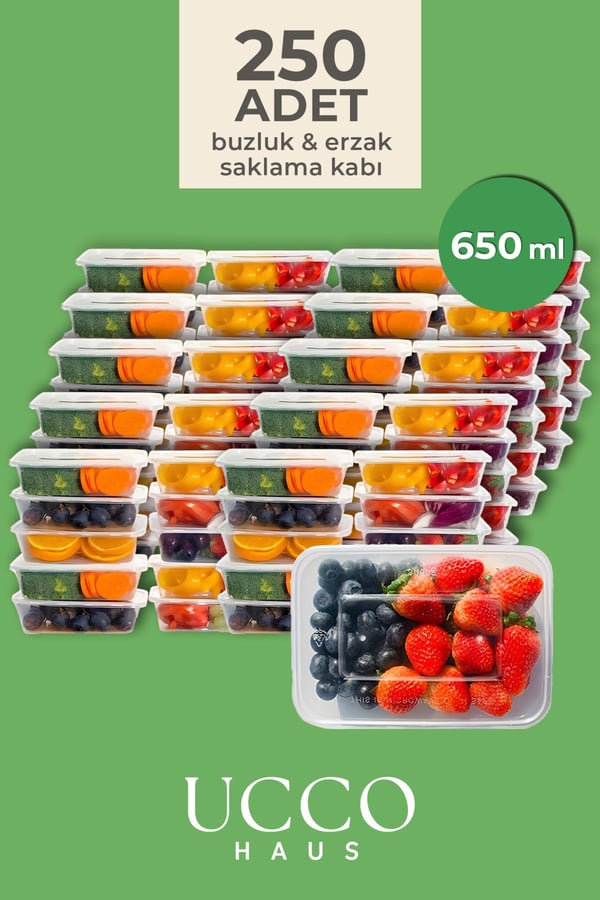 250 ADET 650 ml Ekonomik Buzdolabı Dondurucu Erzak Sızdırmaz Saklama Kabı Seti Buzluk Organizer