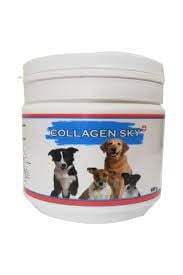 COLLAGEN SKY 400 GR