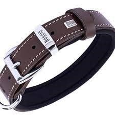 DOGGİE KONFOR DERİ KEMİK DESENLİ BOYUN TASMASI KAHVE 2,5X37-45CM