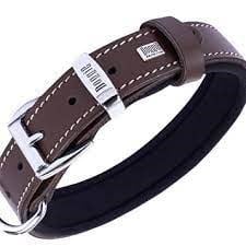 DOGGİE KONFOR DERİ KEMİK DESENLİ BOYUN TASMASI KAHVE 4X52-60CM