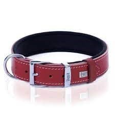 DOGGİE KONFOR DERİ PATİ DESENLİ BOYUN TASMASI KIRMIZI 4X52-60CM