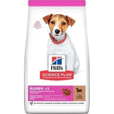 Hills Small Mini Küçük Irk Kuzulu Yetişkin Köpek Maması 1,5kg