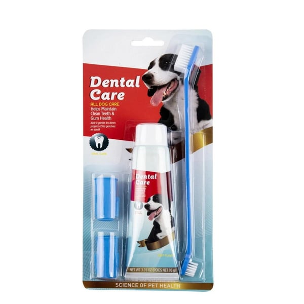 Lion pet Biftek Aromalı Diş fırçası ve Macunu