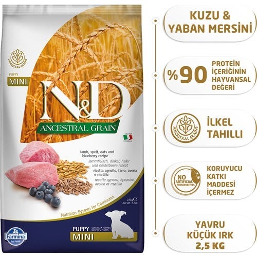 N&D Ancestral Grain Düşük Tahıllı Kuzu Etli ve Yaban Mersinli 2.5 kg Küçük Irk Yavru Köpek Maması