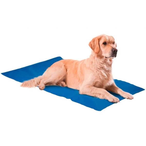Nunbell Serinleticili Köpek Yatağı XLarge 50x65 cm