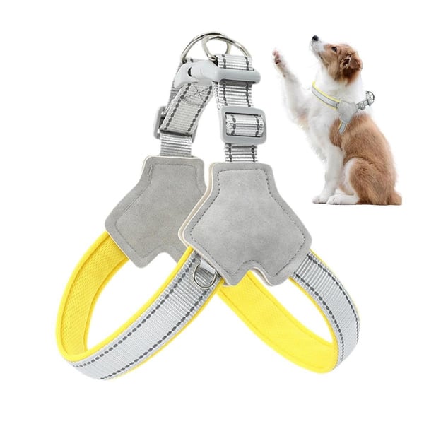 Pawzilla Fashion Köpek Göğüs Tasması L 45 Cm +Gezdirme ipi