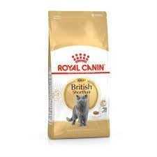 Royal Canin British Shorthair 4 kg Yetişkin Kedi Maması
