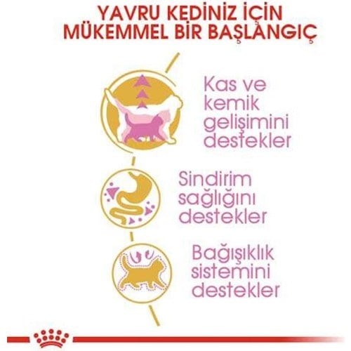 Royal Canin British Shorthair Kitten 2 Kg Yavru Kuru Kedi Maması
