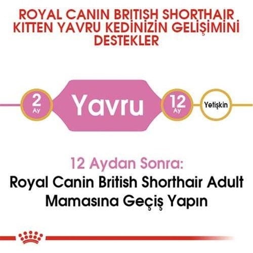 Royal Canin British Shorthair Kitten 2 Kg Yavru Kuru Kedi Maması