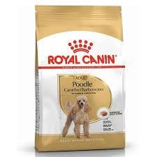 Royal Canin Poodle Adult Köpek Maması 3 Kg