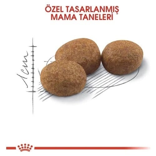 Royal Canin Sterilised 2 kg Kısırlaştırılmış Yetişkin Kedi Maması