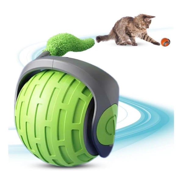 Teasing Cat Kedi Oyun Topu Şarzlı
