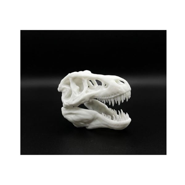 Yemcipetshop Dinozor Kafatası Akvaryum Süsü Küçük