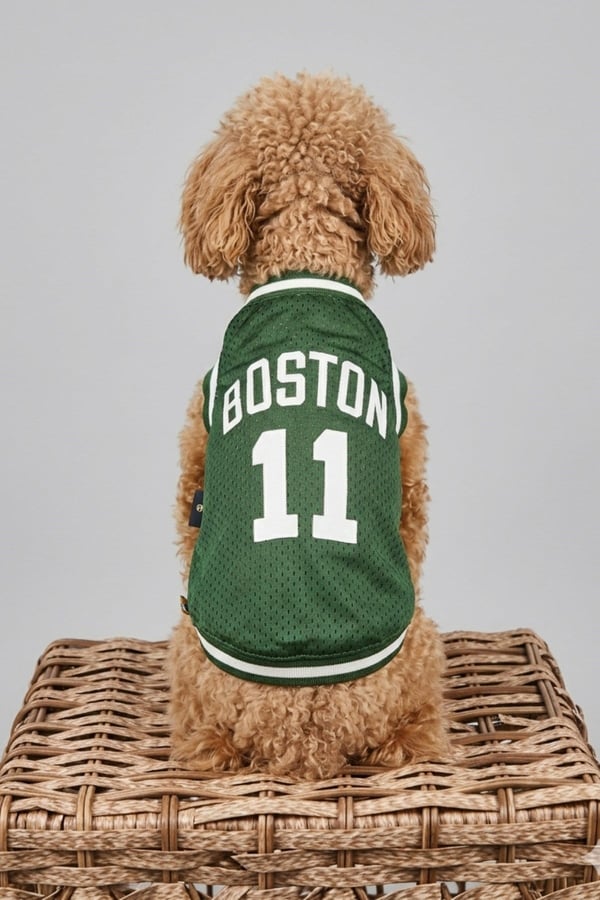 Köpek Kıyafeti, Boston Köpek Forma, Kedi Köpek Elbisesi