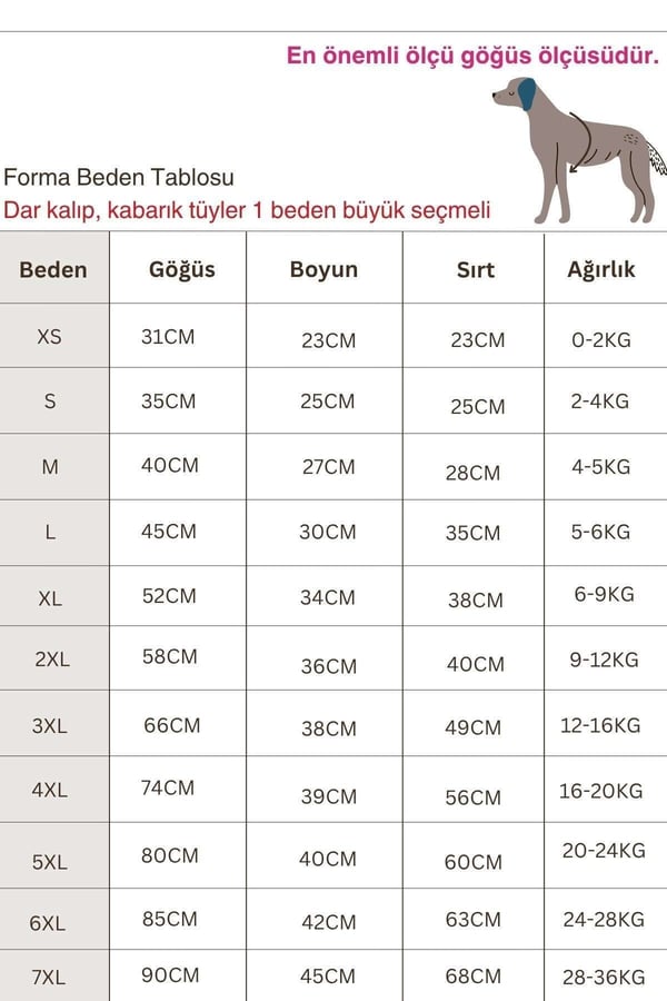 Köpek Kıyafeti, Boston Köpek Forma, Kedi Köpek Elbisesi