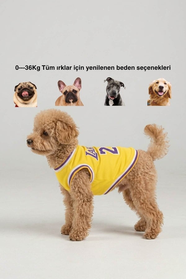 Lakers Yazlık Köpek Forma, küçük orta ve büyük ırklar için köpek kıyafeti