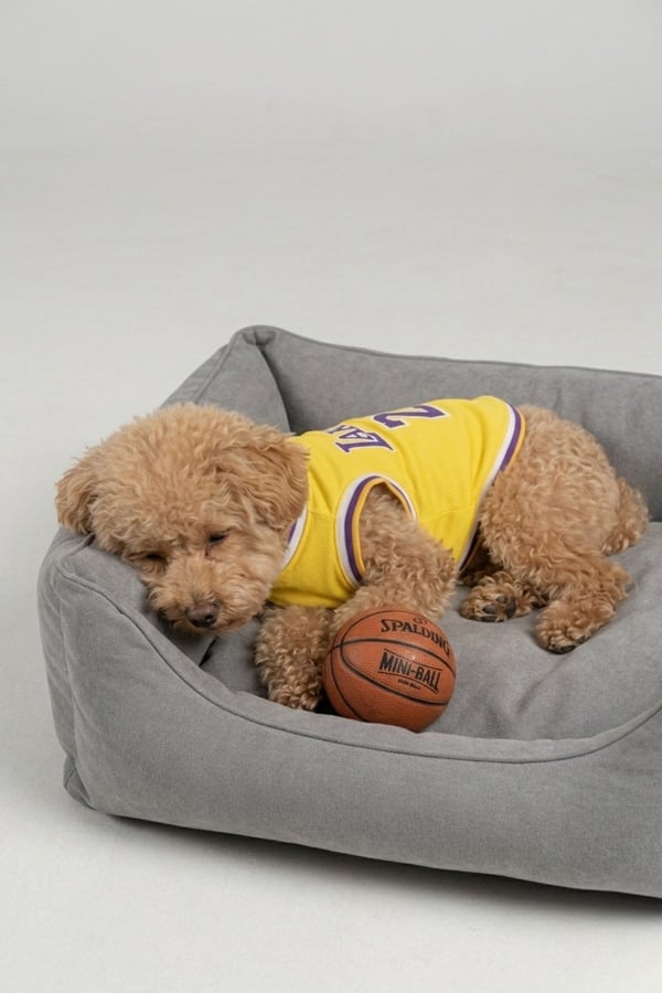 Lakers Yazlık Köpek Forma, küçük orta ve büyük ırklar için köpek kıyafeti