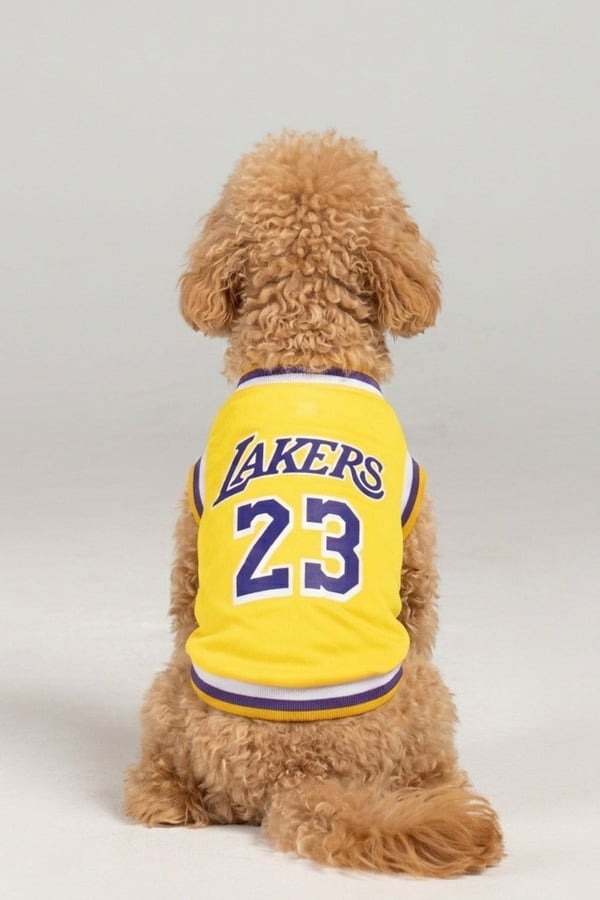 Lakers Yazlık Köpek Forma, küçük orta ve büyük ırklar için köpek kıyafeti