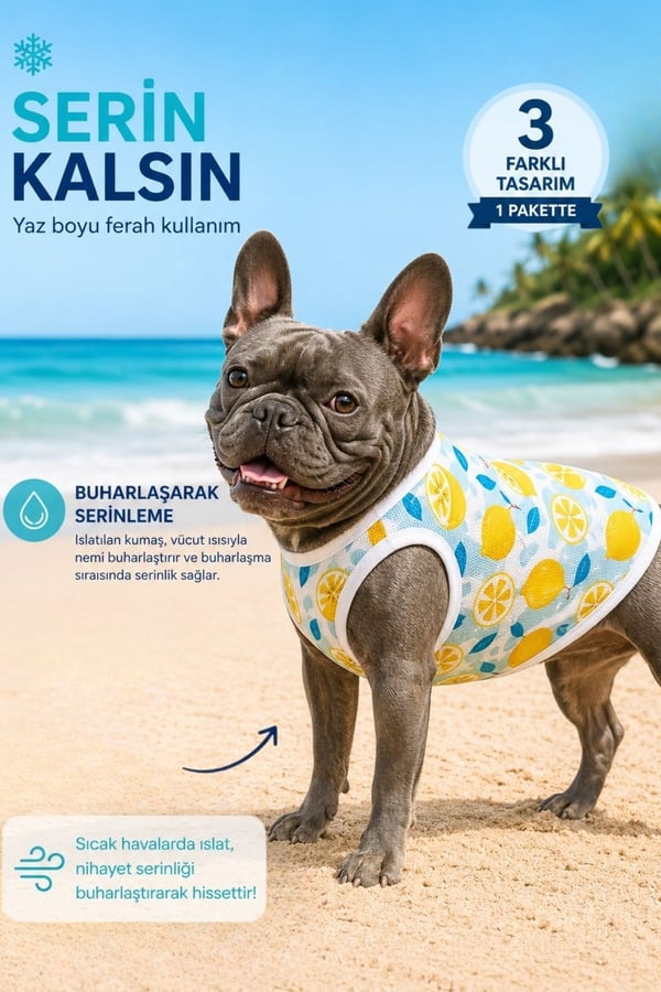 Serinletici Köpek Atleti, 3'lü Avantajlı Paket