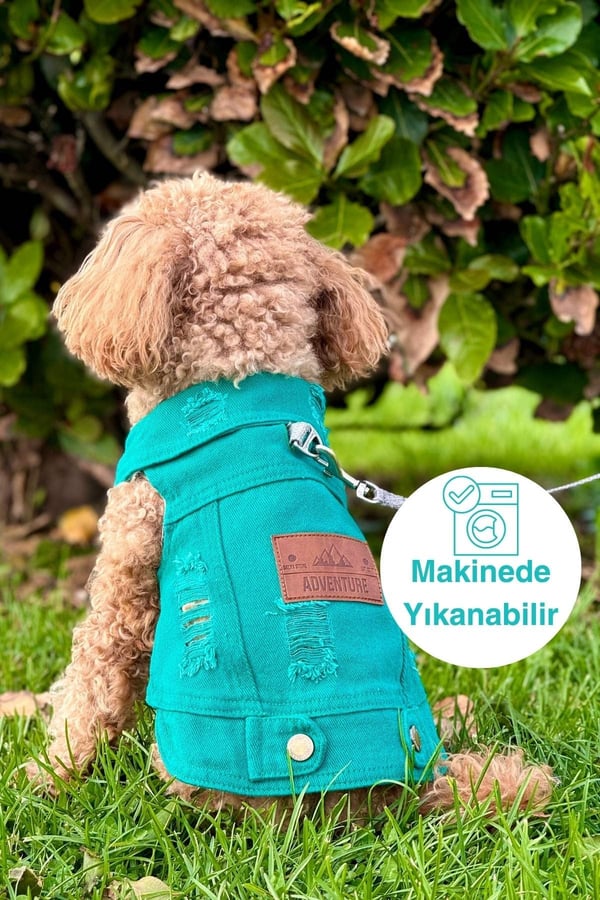 YENİ - Çam Yeşili Renk Kot Köpek Yeleği - Küçük Irklar İçin Şık ve Rahat Yelek (0-15kg)