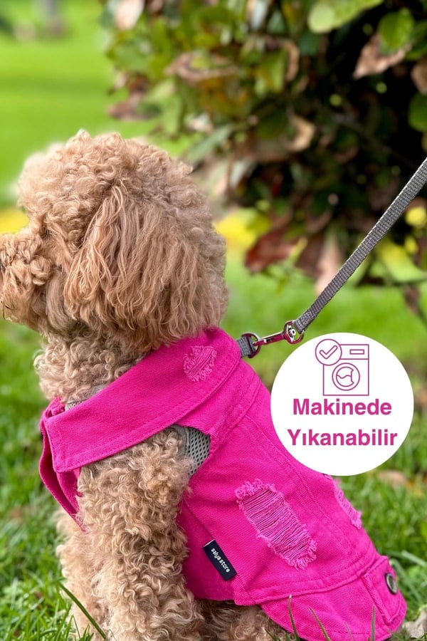 YENİ - Fuşya Renk Kot Köpek Yeleği - Küçük Irklar İçin Şık ve Rahat Yelek (0-15kg)