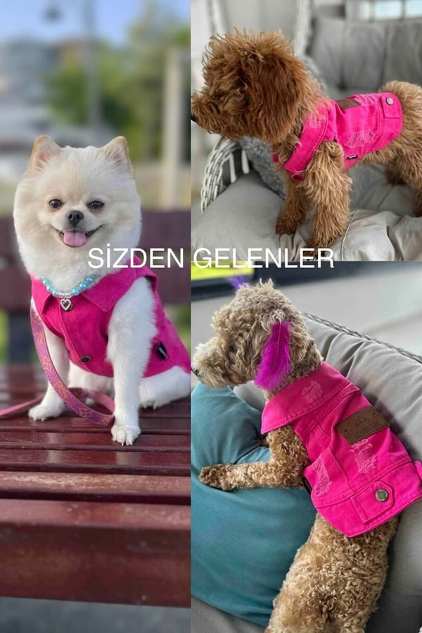 YENİ - Fuşya Renk Kot Köpek Yeleği - Küçük Irklar İçin Şık ve Rahat Yelek (0-15kg)