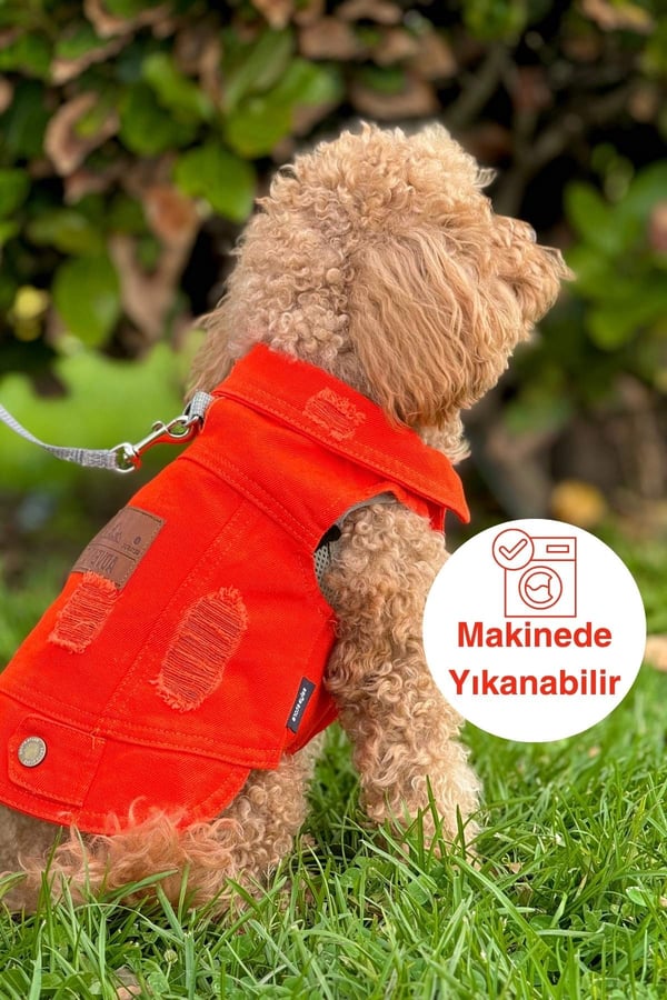 YENİ - Orange Renk Kot Köpek Yeleği - Küçük Irklar İçin Şık ve Rahat Yelek (0-15kg)