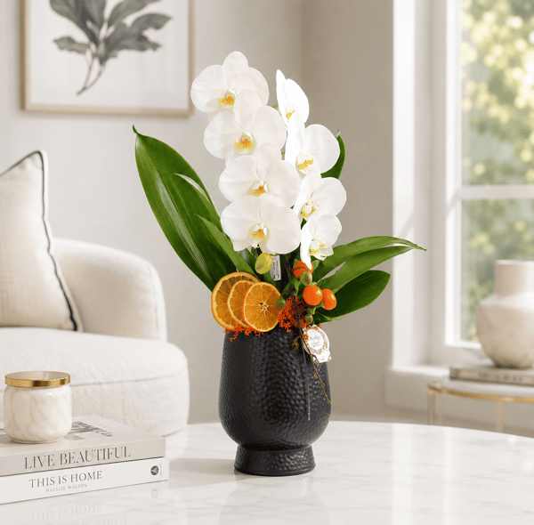 Dekoratif Saksıda Phalaenopsis dendrobium Çenberli Orkide
