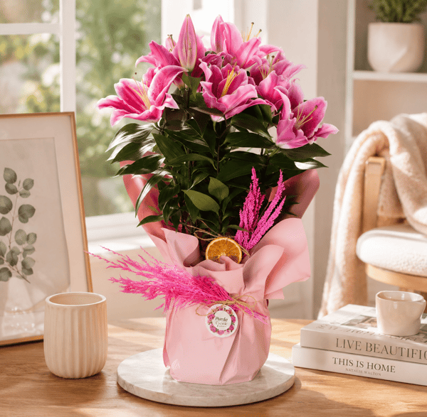 Freedom Pink Pembe Lilyum 