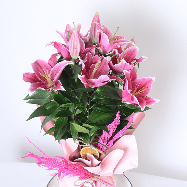 Freedom Pink Pembe Lilyum 