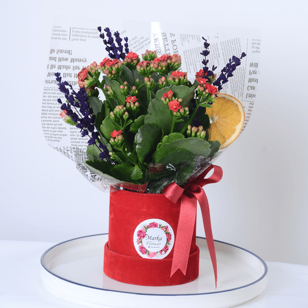Kırmızı Kutuda Kalanchoe Çiçeği 