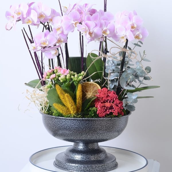 Midi Orchid Designer Flower
