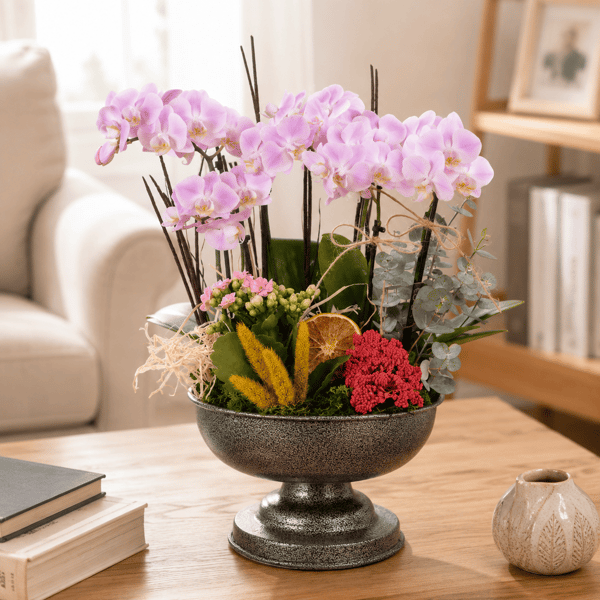 Midi Orchid Designer Flower Mini Orkide 