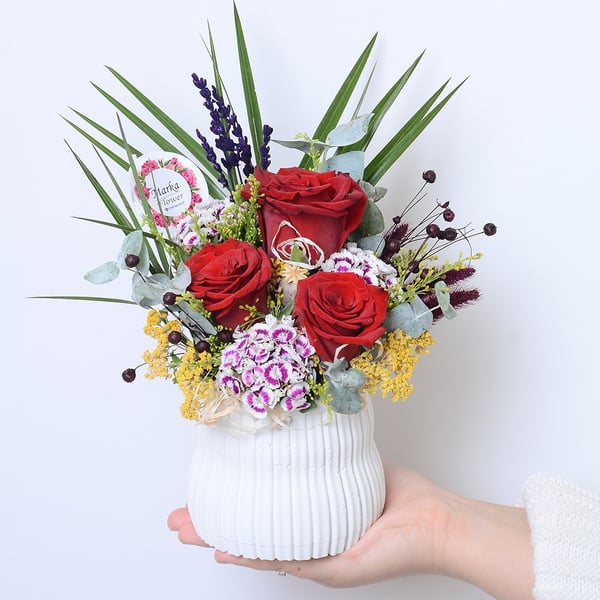 Red Rose Desenli Seramık Saksıda Kırmızı Güller 