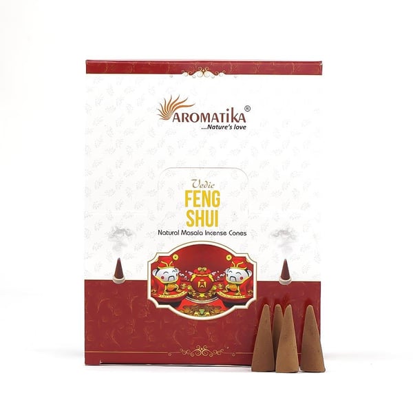Feng Shui Konik Tütsü 10'lu
